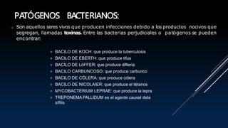 PATÓGENOS BACTERIANOS:
o Son aquellos seres vivos que producen infecciones debido a los productos nocivos que
segregan, llamadas toxinas. Entre las bacterias perjudiciales o patógenos se pueden
encontrar:
⚫ BACILO DE KOCH: que produce la tuberculosis
⚫ BACILO DE EBERTH: que produce tifus
⚫ BACILO DE LöFFER: que produce difteria
⚫ BACILO CARBUNCOSO: que produce carbunco
⚫ BACILO DE CÓLERA: que produce cólera
⚫ BACILO DE NICOLAIER: que produce el tétanos
⚫ MYCOBACTERIUM LEPRAE: que produce la lepra
⚫ TREPONEMA PALLIDUM es el agente causal dela
sífilis
 