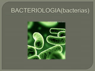 BACTERIOLOGIA(bacterias) 