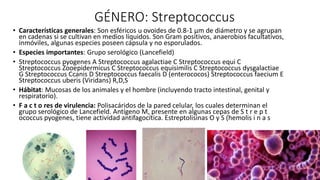 GÉNERO: Streptococcus
• Características generales: Son esféricos u ovoides de 0.8-1 µm de diámetro y se agrupan
en cadenas si se cultivan en medios líquidos. Son Gram positivos, anaerobios facultativos,
inmóviles, algunas especies poseen cápsula y no esporulados.
• Especies importantes: Grupo serológico (Lancefield)
• Streptococcus pyogenes A Streptococcus agalactiae C Streptococcus equi C
Streptococcus Zooepidermicus C Streptococcus equisimilis C Streptococcus dysgalactiae
G Streptococcus Ccanis D Streptococcus faecalis D (enterococos) Streptococcus faecium E
Streptococcus uberis (Viridans) R,D,S
• Hábitat: Mucosas de los animales y el hombre (incluyendo tracto intestinal, genital y
respiratorio).
• F a c t o res de virulencia: Polisacáridos de la pared celular, los cuales determinan el
grupo serológico de Lancefield. Antígeno M, presente en algunas cepas de S t r e p t
ococcus pyogenes, tiene actividad antifagocítica. Estreptolisinas O y S (hemolis i n a s
 