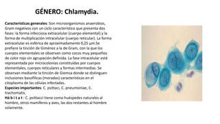 GÉNERO: Chlamydia.
Características generales: Son microorganismos anaerobios,
Gram negativos con un ciclo característico que presenta dos
fases: la forma infecciosa extracelular (cuerpo elemental) y la
forma de multiplicación intracelular (cuerpo reticular). La forma
extracelular es esférica de aproximadamente 0,25 µm.Se
prefiere la tinción de Giménez a la de Gram, con la que los
cuerpos elementales se observan como cocos muy pequeños
de color rojo sin agrupación definida. La fase intracelular está
representada por microcolonias constituídas por cuerpos
elementales, cuerpos reticulares y formas intermedias. Se
observan mediante la tinción de Giemsa donde se distinguen
inclusiones basofílicas (moradas) características en el
citoplasma de las células infectadas.
Especies importantes: C. psittaci, C. pneumoniae, C.
trachomatis.
Há b i t a t : C. psittacci tiene como huéspedes naturales al
hombre, otros mamíferos y aves, las dos restantes al hombre
solamente.
 