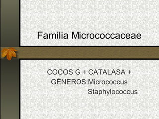 Familia Micrococcaceae COCOS G + CATALASA + GÉNEROS:Micrococcus Staphylococcus 