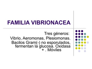 FAMILIA VIBRIONACEA Tres géneros:  Vibrio, Aeromonas, Plesiomonas. Bacilos Gram(-) no esporulados, fermentan la glucosa. Oxidasa + . Móviles   