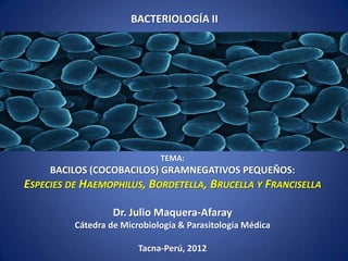 BACTERIOLOGÍA II




                              TEMA:
     BACILOS (COCOBACILOS) GRAMNEGATIVOS PEQUEÑOS:
ESPECIES DE HAEMOPHILUS, BORDETELLA, BRUCELLA Y FRANCISELLA

                   Dr. Julio Maquera-Afaray
          Cátedra de Microbiología & Parasitología Médica

                         Tacna-Perú, 2012
 