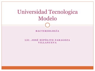 Bacteriología  Lic. José Hipólito Zaragoza Villanueva Universidad Tecnologica Modelo 