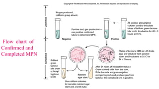 Bacteriological Analysis Of Drinking Water – LYIKC