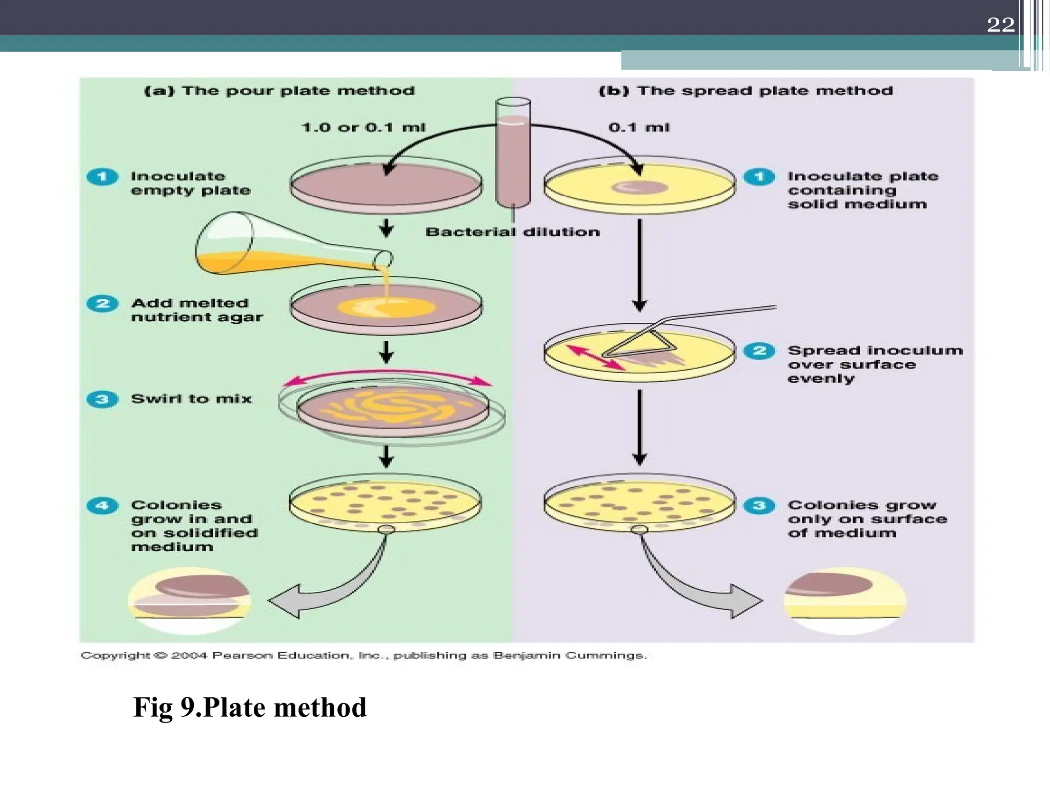 22
Fig 9.Plate method
 