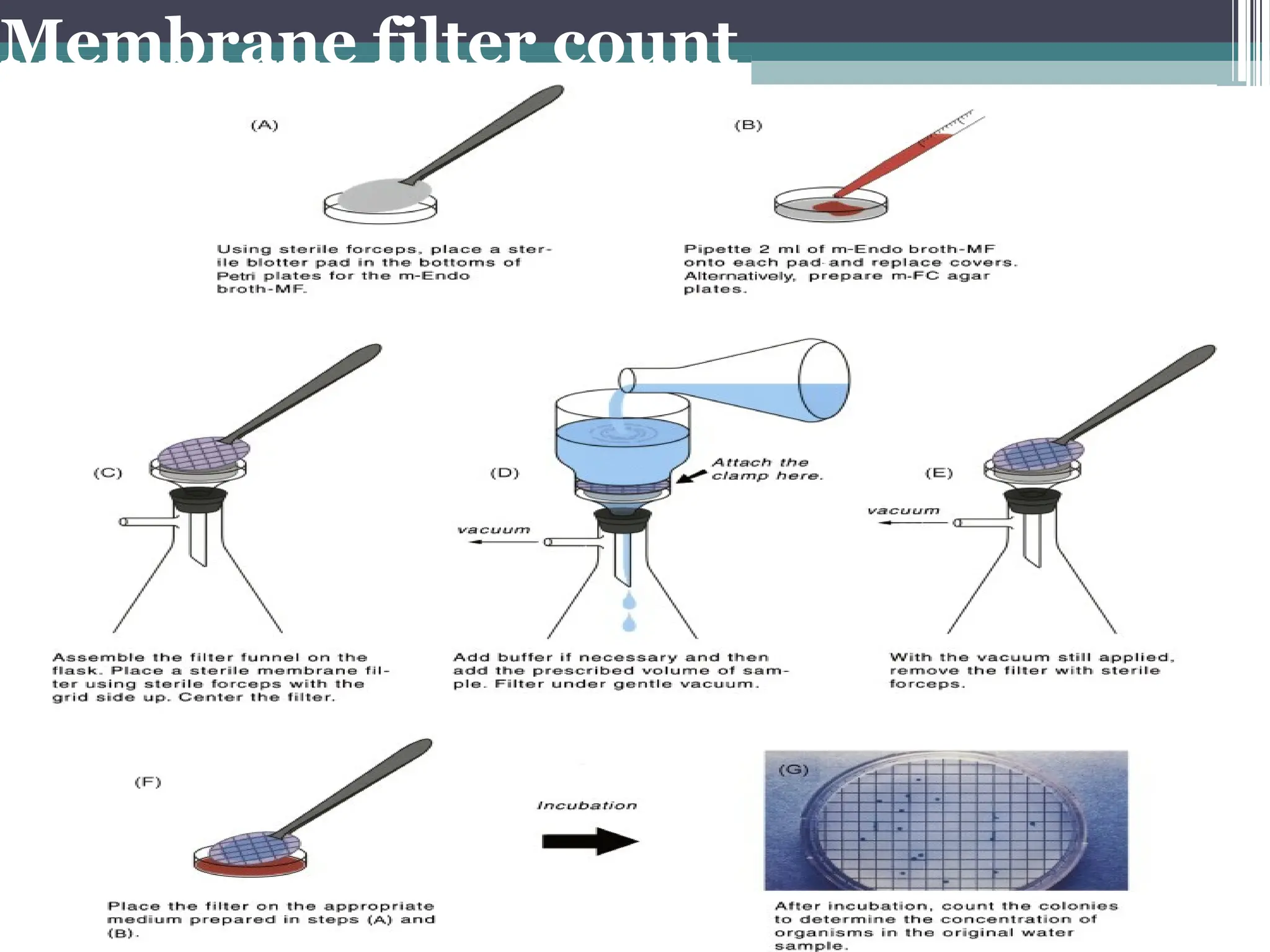 Membrane filter count
 