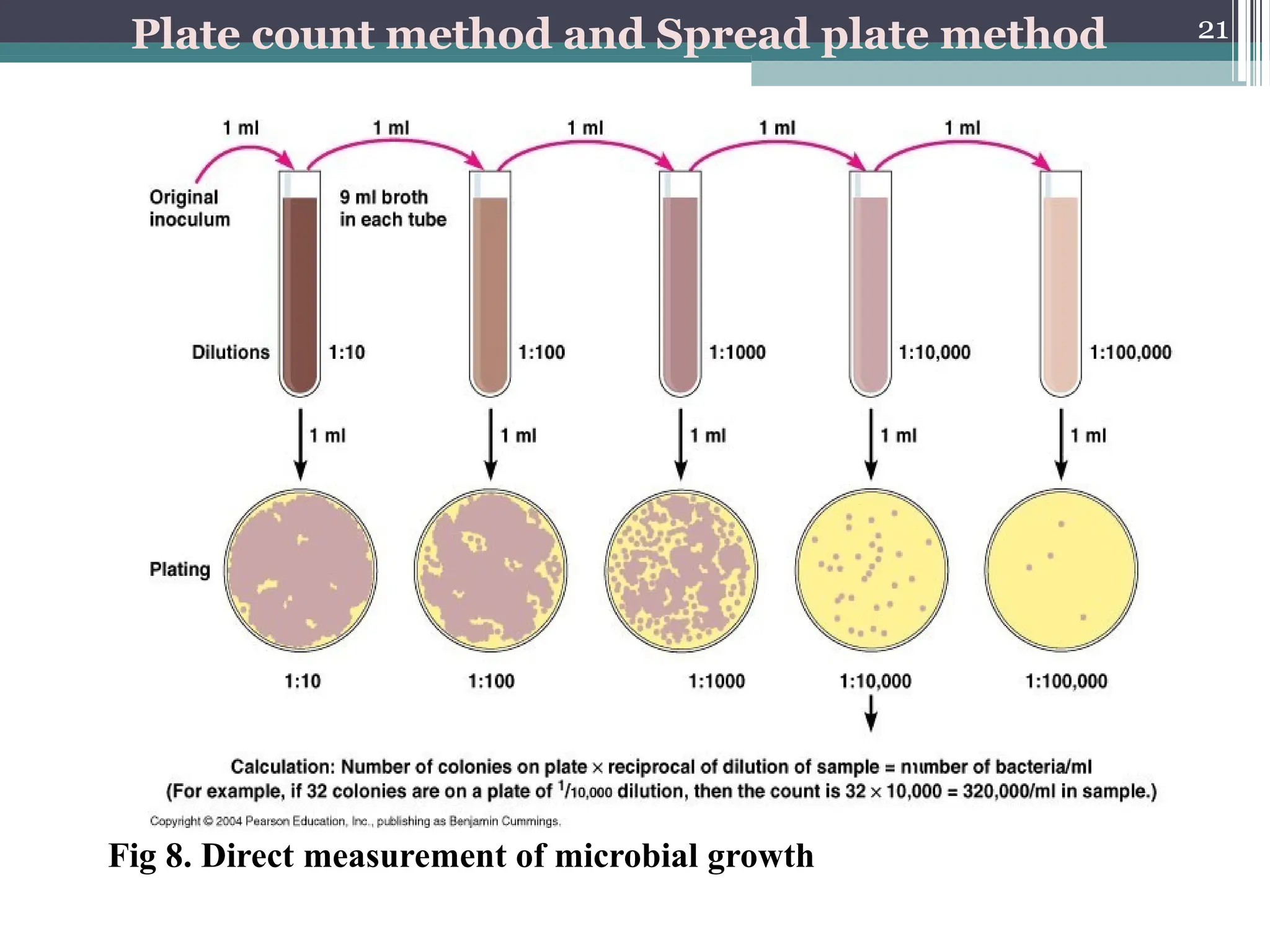 21
Fig 8. Direct measurement of microbial growth
Plate count method and Spread plate method
 