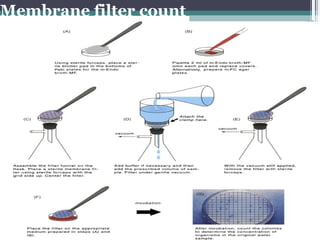 Enumeration of bacteria or bacteriological measurement.pptx