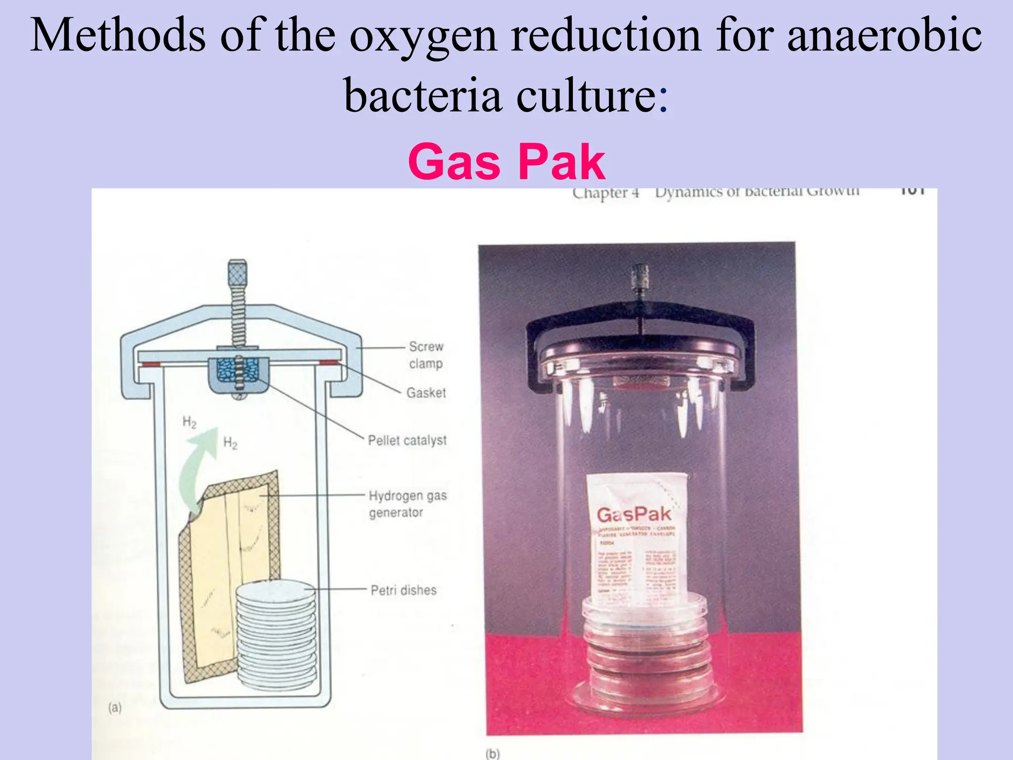 Bacteriological method — Anaerobic bacteria.pdf