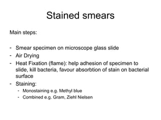 Stained smears 
Main steps: 
- Smear specimen on microscope glass slide 
- Air Drying 
- Heat Fixation (flame): help adhesion of specimen to 
slide, kill bacteria, favour absorbtion of stain on bacterial 
surface 
- Staining: 
- Monostaining e.g. Methyl blue 
- Combined e.g. Gram, Ziehl Nielsen 
 