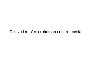 Cultivation of microbes on culture media 
 
