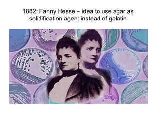 1882: Fanny Hesse – idea to use agar as 
solidification agent instead of gelatin 
 