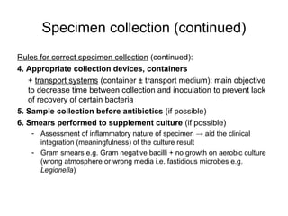 Specimen collection (continued) 
Rules for correct specimen collection (continued): 
4. Appropriate collection devices, containers 
+ transport systems (container ± transport medium): main objective 
to decrease time between collection and inoculation to prevent lack 
of recovery of certain bacteria 
5. Sample collection before antibiotics (if possible) 
6. Smears performed to supplement culture (if possible) 
- Assessment of inflammatory nature of specimen → aid the clinical 
integration (meaningfulness) of the culture result 
- Gram smears e.g. Gram negative bacilli + no growth on aerobic culture 
(wrong atmosphere or wrong media i.e. fastidious microbes e.g. 
Legionella) 
 