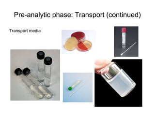 Pre-analytic phase: Transport (continued) 
Transport media 
 