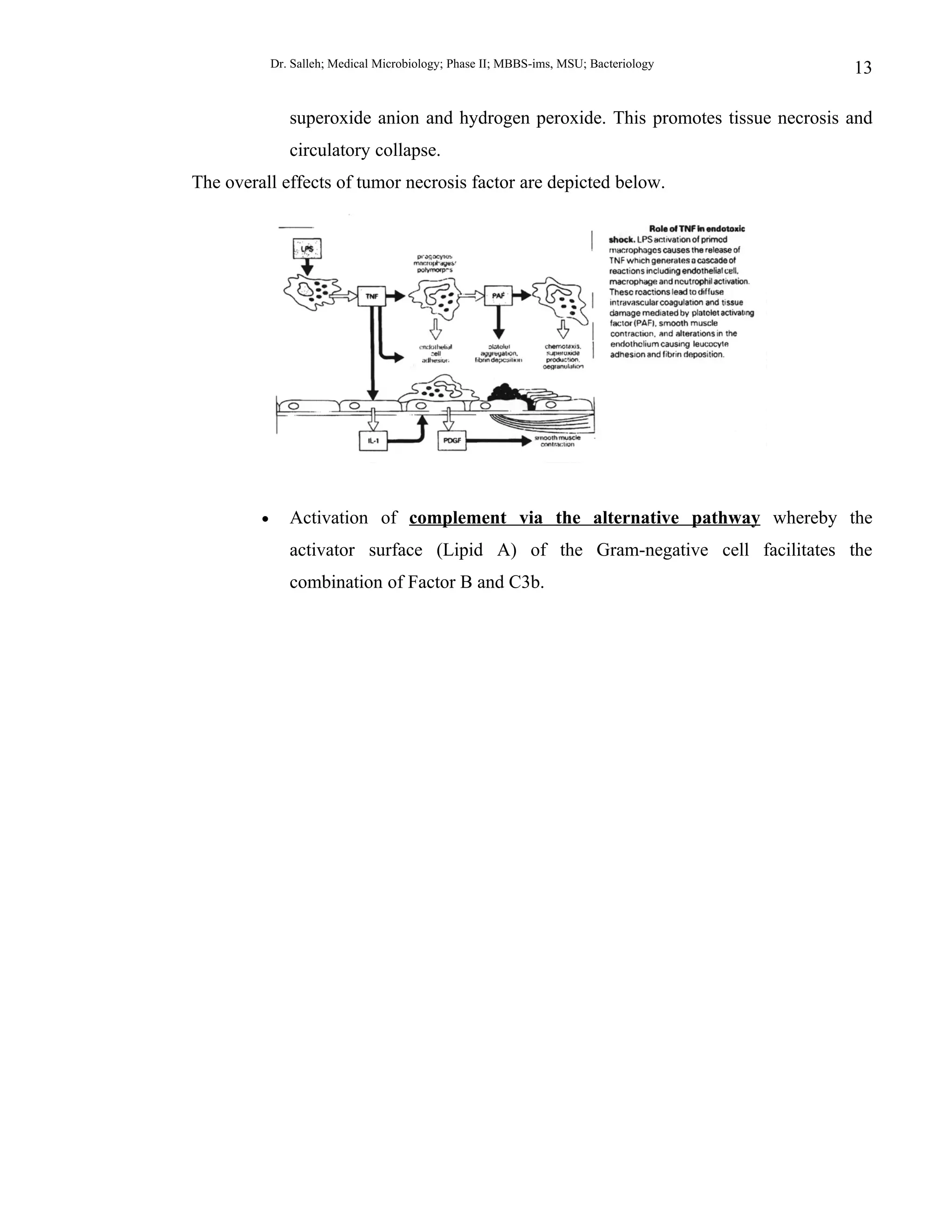 Dr. Salleh; Medical Microbiology; Phase II; MBBS-ims, MSU; Bacteriology   13

                superoxide anion and hydrogen peroxide. This promotes tissue necrosis and
                circulatory collapse.
The overall effects of tumor necrosis factor are depicted below.




         •      Activation of complement via the alternative pathway whereby the
                activator surface (Lipid A) of the Gram-negative cell facilitates the
                combination of Factor B and C3b.
 