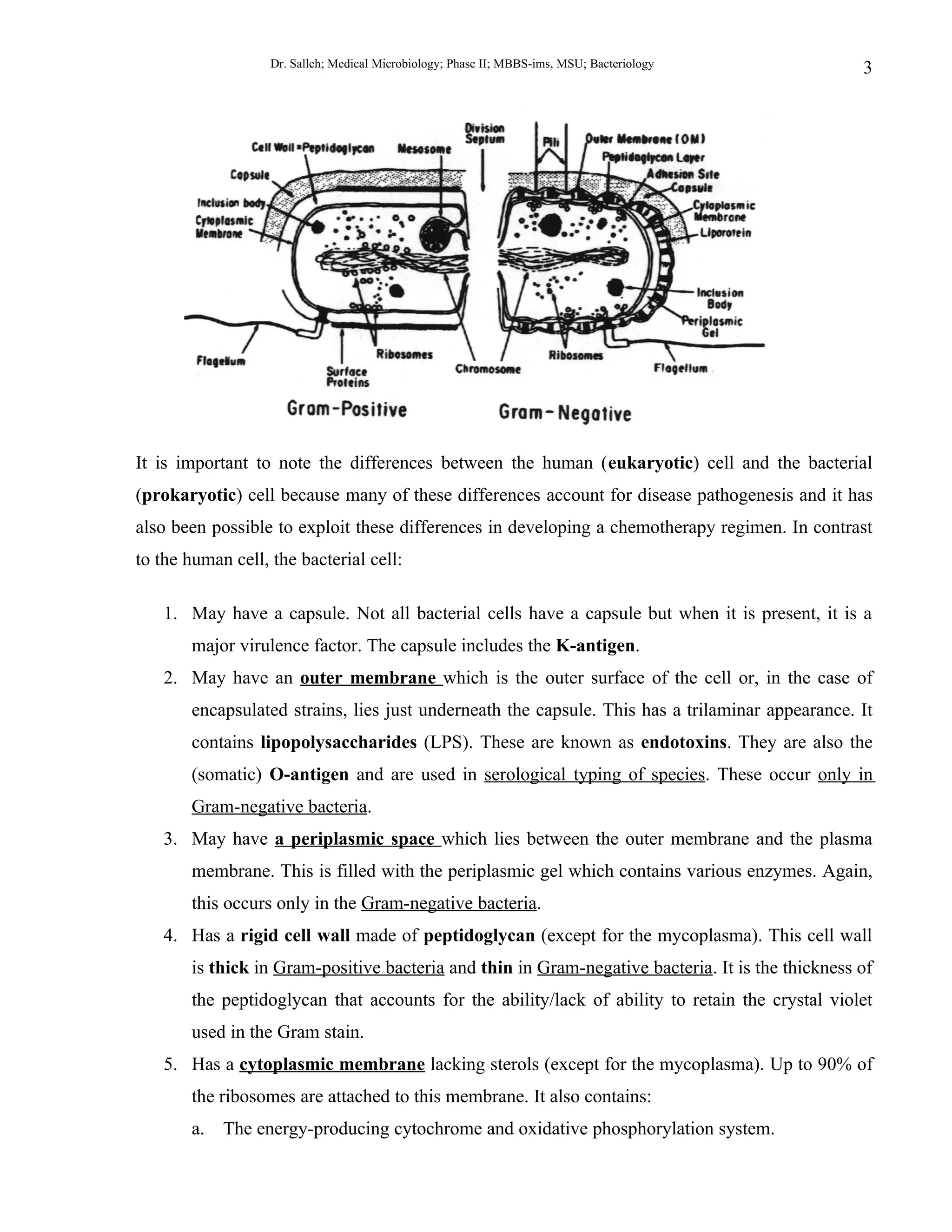 Dr. Salleh; Medical Microbiology; Phase II; MBBS-ims, MSU; Bacteriology        3




It is important to note the differences between the human (eukaryotic) cell and the bacterial
(prokaryotic) cell because many of these differences account for disease pathogenesis and it has
also been possible to exploit these differences in developing a chemotherapy regimen. In contrast
to the human cell, the bacterial cell:

   1. May have a capsule. Not all bacterial cells have a capsule but when it is present, it is a
       major virulence factor. The capsule includes the K-antigen.
   2. May have an outer membrane which is the outer surface of the cell or, in the case of
       encapsulated strains, lies just underneath the capsule. This has a trilaminar appearance. It
       contains lipopolysaccharides (LPS). These are known as endotoxins. They are also the
       (somatic) O-antigen and are used in serological typing of species. These occur only in
       Gram-negative bacteria.
   3. May have a periplasmic space which lies between the outer membrane and the plasma
       membrane. This is filled with the periplasmic gel which contains various enzymes. Again,
       this occurs only in the Gram-negative bacteria.
   4. Has a rigid cell wall made of peptidoglycan (except for the mycoplasma). This cell wall
       is thick in Gram-positive bacteria and thin in Gram-negative bacteria. It is the thickness of
       the peptidoglycan that accounts for the ability/lack of ability to retain the crystal violet
       used in the Gram stain.
   5. Has a cytoplasmic membrane lacking sterols (except for the mycoplasma). Up to 90% of
       the ribosomes are attached to this membrane. It also contains:
       a. The energy-producing cytochrome and oxidative phosphorylation system.
 