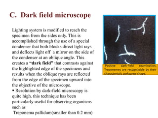 C. Dark field microscope
Positive dark-field examination.
Treponemes are recognizable by their
characteristic corkscrew shape.
Lighting system is modified to reach the
specimen from the sides only. This is
accomplished through the use of a special
condenser that both blocks direct light rays
and deflects light off a mirror on the side of
the condenser at an oblique angle. This
creates a “dark field” that contrasts against
the highlighted edge of the specimens and
results when the oblique rays are reflected
from the edge of the specimen upward into
the objective of the microscope.
 Resolution by dark-field microscopy is
quite high. this technique has been
particularly useful for observing organisms
such as
Treponema pallidum(smaller than 0.2 mm)
 