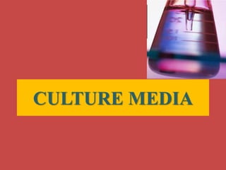 CULTURE MEDIA
 