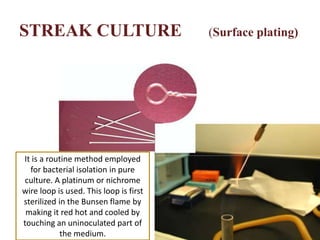 STREAK CULTURE (Surface plating)
It is a routine method employed
for bacterial isolation in pure
culture. A platinum or nichrome
wire loop is used. This loop is first
sterilized in the Bunsen flame by
making it red hot and cooled by
touching an uninoculated part of
the medium.
 