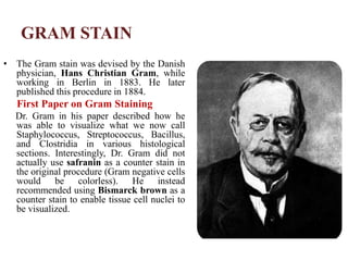 GRAM STAIN
• The Gram stain was devised by the Danish
physician, Hans Christian Gram, while
working in Berlin in 1883. He later
published this procedure in 1884.
First Paper on Gram Staining
Dr. Gram in his paper described how he
was able to visualize what we now call
Staphylococcus, Streptococcus, Bacillus,
and Clostridia in various histological
sections. Interestingly, Dr. Gram did not
actually use safranin as a counter stain in
the original procedure (Gram negative cells
would be colorless). He instead
recommended using Bismarck brown as a
counter stain to enable tissue cell nuclei to
be visualized.
 