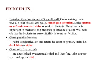 PRINCIPLES
• Based on the composition of the cell wall Gram staining uses
crystal violet to stain cell walls, iodine as a mordant, and a fuchsin
or safranin counter stain to mark all bacteria. Gram status is
important in medicine; the presence or absence of a cell wall will
change the bacterium's susceptibility to some antibiotics.
• Gram-positive bacteria
- resist decolourization and retain the color of primary stain. i.e.
dark blue or violet.
• Gram negative bacteria
- are decolorized by acetone/alcohol and therefore, take counter
stain and appear red.
 