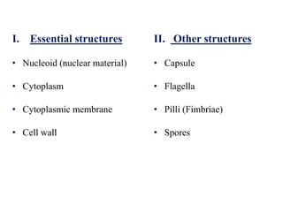 I. Essential structures
• Nucleoid (nuclear material)
• Cytoplasm
• Cytoplasmic membrane
• Cell wall
II. Other structures
• Capsule
• Flagella
• Pilli (Fimbriae)
• Spores
 