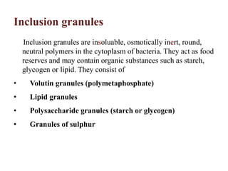 Inclusion granules
Inclusion granules are insoluable, osmotically inert, round,
neutral polymers in the cytoplasm of bacteria. They act as food
reserves and may contain organic substances such as starch,
glycogen or lipid. They consist of
• Volutin granules (polymetaphosphate)
• Lipid granules
• Polysaccharide granules (starch or glycogen)
• Granules of sulphur
 