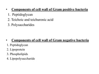 • Components of cell wall of Gram positive bacteria
1. Peptidoglycan
2. Teichoic and teichuronic acid
3. Polysaccharides
• Components of cell wall of Gram negative bacteria
1. Peptidoglycan
2. Lipoprotein
3. Phospholipids
4. Lipopolysaccharide
 