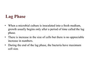 Lag Phase
• When a microbial culture is inoculated into a fresh medium,
growth usually begins only after a period of time called the lag
phase.
• There is increase in the size of cells but there is no appreciable
increase in numbers.
• During the end of the lag phase, the bacteria have maximum
cell size.
 
