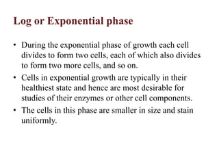 Log or Exponential phase
• During the exponential phase of growth each cell
divides to form two cells, each of which also divides
to form two more cells, and so on.
• Cells in exponential growth are typically in their
healthiest state and hence are most desirable for
studies of their enzymes or other cell components.
• The cells in this phase are smaller in size and stain
uniformly.
 