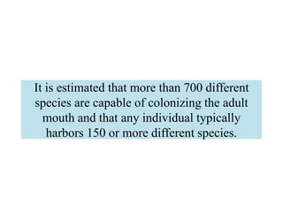 It is estimated that more than 700 different
species are capable of colonizing the adult
mouth and that any individual typically
harbors 150 or more different species.
 