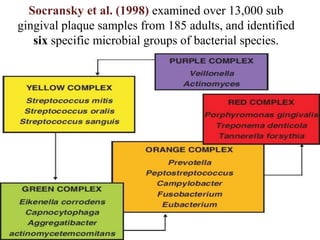 Socransky et al. (1998) examined over 13,000 sub
gingival plaque samples from 185 adults, and identified
six specific microbial groups of bacterial species.
 