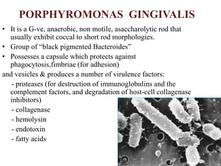 PORPHYROMONAS GINGIVALIS
• It is a G-ve, anaerobic, non motile, asaccharolytic rod that
usually exhibit coccal to short rod morphologies.
• Group of “black pigmented Bacteroides”
• Possesses a capsule which protects against
phagocytosis,fimbriae (for adhesion)
and vesicles & produces a number of virulence factors:
- proteases (for destruction of immunoglobulins and the
complement factors, and degradation of host-cell collagenase
inhibitors)
- collagenase
- hemolysin
- endotoxin
- fatty acids
 