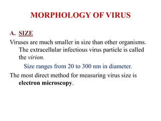 MORPHOLOGY OF VIRUS
A. SIZE
Viruses are much smaller in size than other organisms.
The extracellular infectious virus particle is called
the virion.
Size ranges from 20 to 300 nm in diameter.
The most direct method for measuring virus size is
electron microscopy.
 