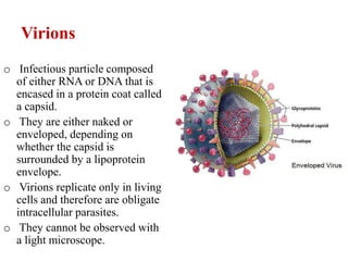 Virions
o Infectious particle composed
of either RNA or DNA that is
encased in a protein coat called
a capsid.
o They are either naked or
enveloped, depending on
whether the capsid is
surrounded by a lipoprotein
envelope.
o Virions replicate only in living
cells and therefore are obligate
intracellular parasites.
o They cannot be observed with
a light microscope.
 