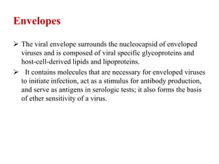 Envelopes
 The viral envelope surrounds the nucleocapsid of enveloped
viruses and is composed of viral specific glycoproteins and
host-cell-derived lipids and lipoproteins.
 It contains molecules that are necessary for enveloped viruses
to initiate infection, act as a stimulus for antibody production,
and serve as antigens in serologic tests; it also forms the basis
of ether sensitivity of a virus.
 
