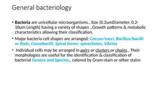General bacteriology
• Bacteria are unicellular microorganisms.. Size (0.2umDiameter, 0.2-
10um Length) having a variety of shapes ..Growth patterns & metabolic
characteristics allowing their classification.
• Major bacteria cell shapes are arranged: Coccus/cocci, Bacillus/bacilli
or Rods, Coccobacilli, Spiral forms- spirochetes, Vibrios
• Individual cells may be arranged in pairs or clusters or chains.. Their
morphologies are useful for the identification & classification of
bacterial Genera and Species.. colored by Gram-stain or other stains
 