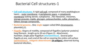 Bacterial Cell structures-1
• Cell wall structures: A rigid cell wall, composed of many peptidoglycan
layers .. outer membrane, A periplasmic space, a cytoplasmic
membrane lacking sterols, Cytoplasma ..70S ribosomes, mesomes,
storage granules -Lipids, glycogen, polysaccharides, sulfar, phosphate ..
Others storage compounds.
• Bacterial genome.. One single supper coiled DNA chromosome,
plasmids(>1).
• Flagella: Organs of motility, composed of flagellins (polymer proteins)
long filament.. length up to 20 um (Figure 2).. Attachment..
Nutrition..Single polar flagellum (monotrichous).. Several polar
flagella at one, each end of the cell or covering the entire cell surface
(peritrichious).. antigenic determinants (H-antigen)..observed during
bacterial infection.
 