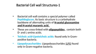 Bacterial Cell wall Structures-1
• Bacterial cell wall contains a special polymer called
Peptidoglycan. Its basic structure is a carbohydrate
backbone of alternating units of N-acetyl glucosamine
and N-acetyl muramic acid.
• These are cross-linked with oligopeptides.. contain both
D- and L-amino acids.
• Teichoic acid-Lipoteichoic acids: found only in Gram-
positive bacteria.
• Lipopolysaccharides: Lipopolysaccharides (LPS) found
only in Gram-negative bacteria.
 