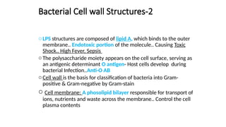 Bacterial Cell wall Structures-2
oLPS structures are composed of lipid A, which binds to the outer
membrane.. Endotoxic portion of the molecule.. Causing Toxic
Shock.. High Fever, Sepsis
oThe polysaccharide moiety appears on the cell surface, serving as
an antigenic determinant O antigen- Host cells develop during
bacterial Infection..Anti-O AB
oCell wall is the basis for classification of bacteria into Gram-
positive & Gram-negative by Gram-stain
o Cell membrane: A phosolipid bilayer responsible for transport of
ions, nutrients and waste across the membrane.. Control the cell
plasma contents
 