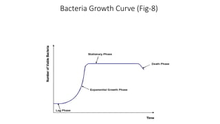 Bacteria Growth Curve (Fig-8)
 