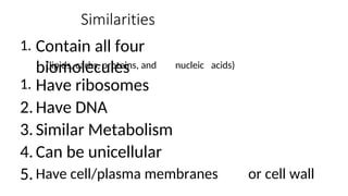 Similarities
Contain all four
biomolecules
1.
(lipids, carbs, proteins, and
Have ribosomes
Have DNA
Similar Metabolism
Can be unicellular
nucleic acids)
1.
2.
3.
4.
5. Have cell/plasma membranes or cell wall
 