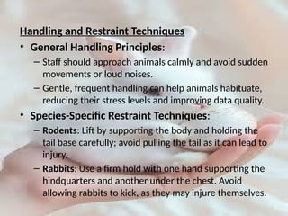 Handling and maintenance of laboratory animal rabbits | PPTX