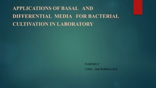 APPLICATIONS OF BASAL AND
DIFFERENTIAL MEDIA FOR BACTERIAL
CULTIVATION IN LABORATORY
NARESH.V
I MSC., MICROBIOLOGY
 