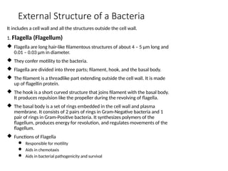 General Bacteriology with bacterial reproduction | PPTX