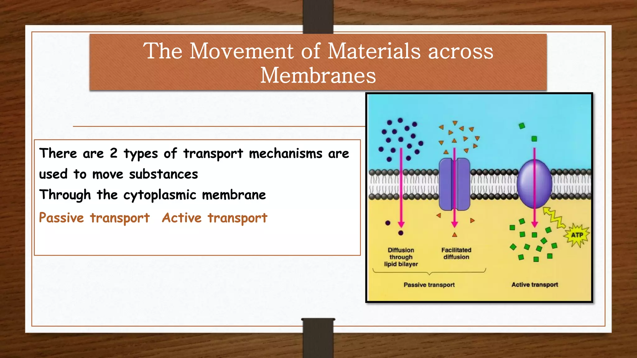 The Movement of Materials across
Membranes
There are 2 types of transport mechanisms are
used to move substances
Through the cytoplasmic membrane
Passive transport Active transport
 