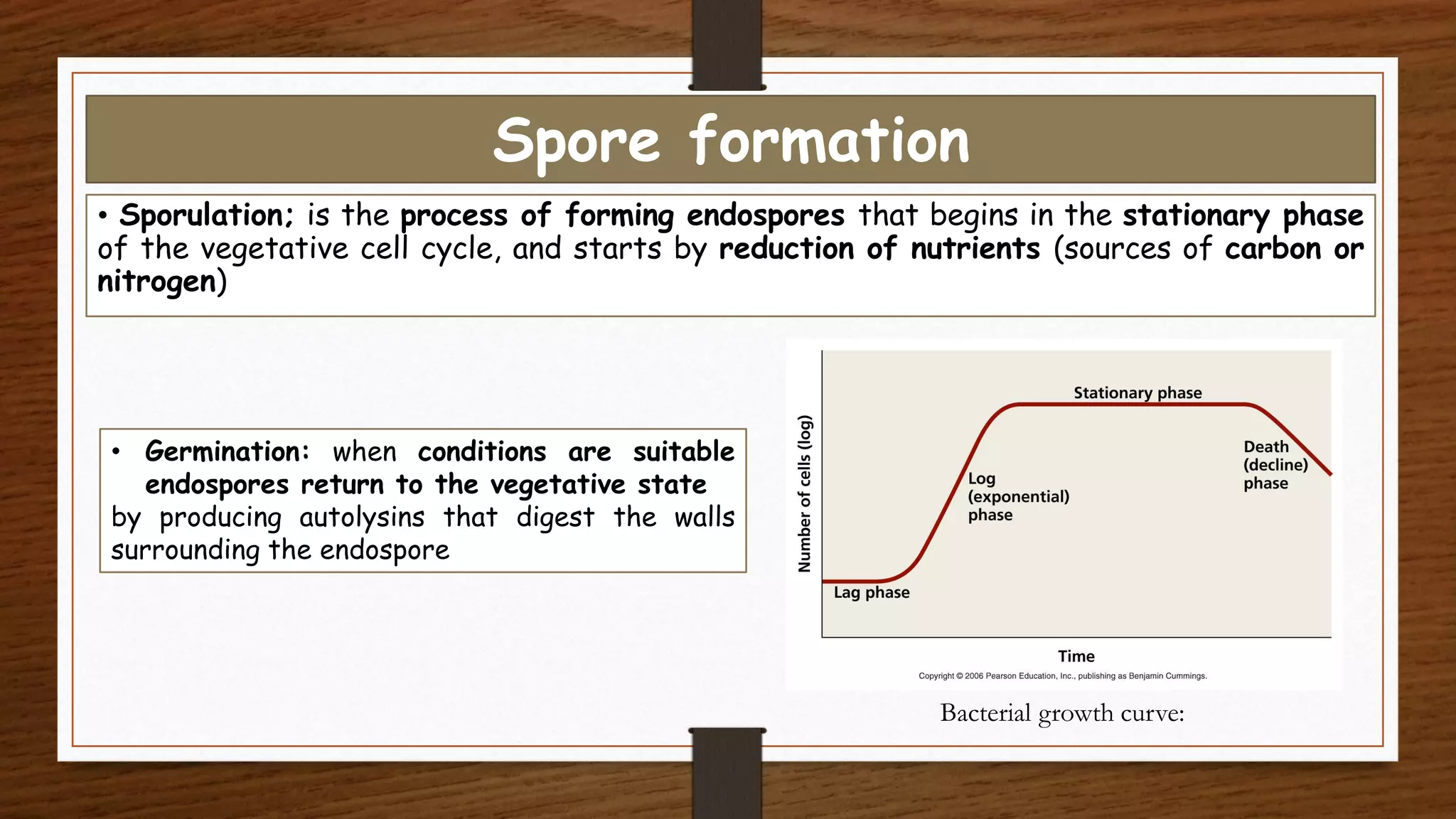 Spore formation
• Sporulation; is the process of forming endospores that begins in the stationary phase
of the vegetative cell cycle, and starts by reduction of nutrients (sources of carbon or
nitrogen)
Bacterial growth curve:
• Germination: when conditions are suitable
endospores return to the vegetative state
by producing autolysins that digest the walls
surrounding the endospore
 