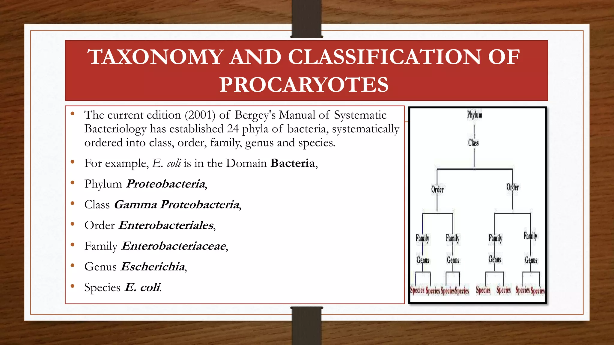 • The current edition (2001) of Bergey's Manual of Systematic
Bacteriology has established 24 phyla of bacteria, systematically
ordered into class, order, family, genus and species.
• For example, E. coli is in the Domain Bacteria,
• Phylum Proteobacteria,
• Class Gamma Proteobacteria,
• Order Enterobacteriales,
• Family Enterobacteriaceae,
• Genus Escherichia,
• Species E. coli.
TAXONOMY AND CLASSIFICATION OF
PROCARYOTES
 