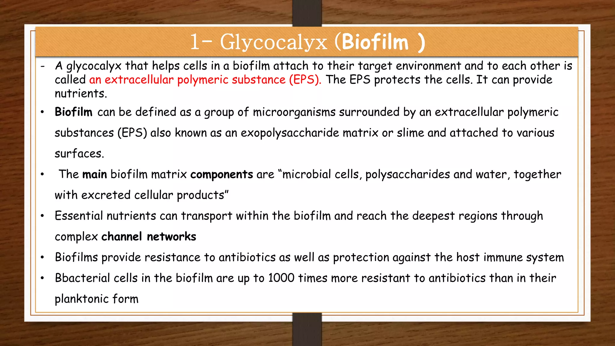 - A glycocalyx that helps cells in a biofilm attach to their target environment and to each other is
called an extracellular polymeric substance (EPS). The EPS protects the cells. It can provide
nutrients.
• Biofilm can be defined as a group of microorganisms surrounded by an extracellular polymeric
substances (EPS) also known as an exopolysaccharide matrix or slime and attached to various
surfaces.
• The main biofilm matrix components are “microbial cells, polysaccharides and water, together
with excreted cellular products”
• Essential nutrients can transport within the biofilm and reach the deepest regions through
complex channel networks
• Biofilms provide resistance to antibiotics as well as protection against the host immune system
• Bbacterial cells in the biofilm are up to 1000 times more resistant to antibiotics than in their
planktonic form
1- Glycocalyx (Biofilm )
 